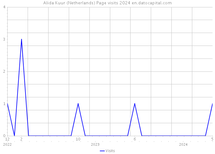 Alida Kuur (Netherlands) Page visits 2024 