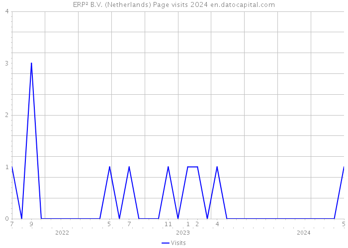 ERP² B.V. (Netherlands) Page visits 2024 