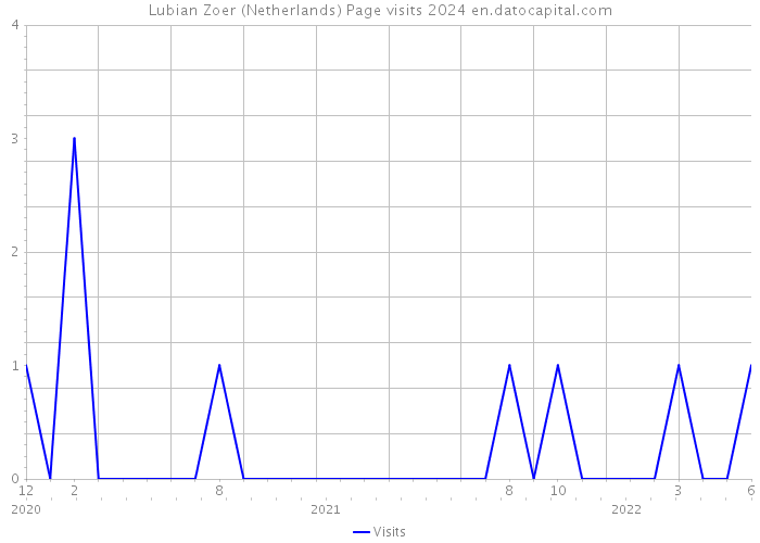 Lubian Zoer (Netherlands) Page visits 2024 