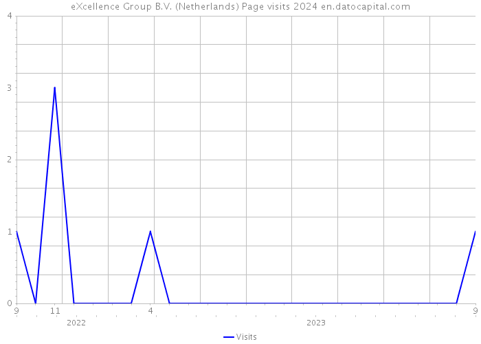 eXcellence Group B.V. (Netherlands) Page visits 2024 