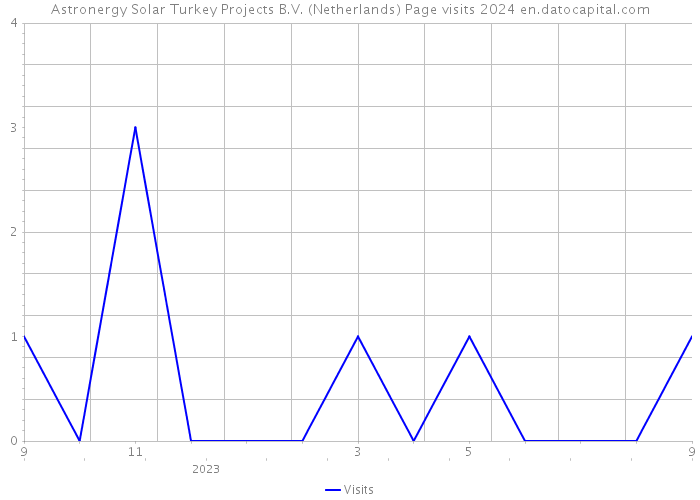 Astronergy Solar Turkey Projects B.V. (Netherlands) Page visits 2024 