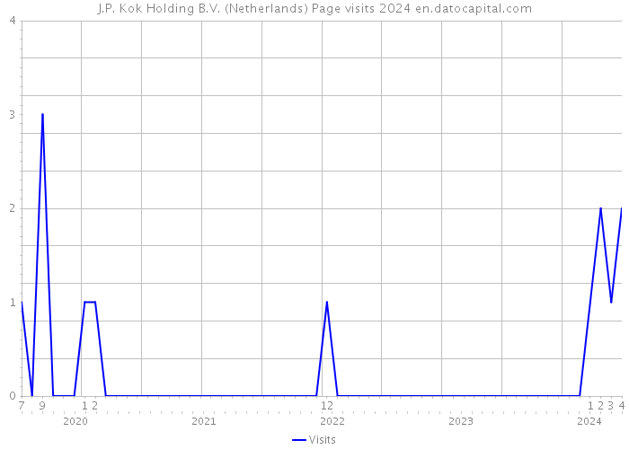 J.P. Kok Holding B.V. (Netherlands) Page visits 2024 