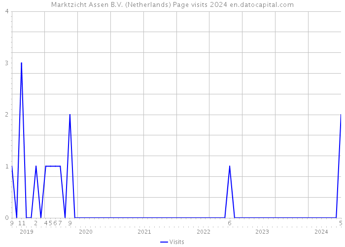 Marktzicht Assen B.V. (Netherlands) Page visits 2024 