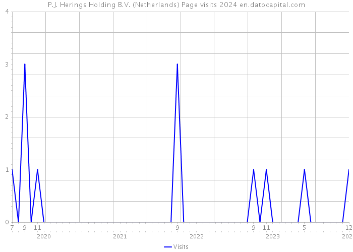 P.J. Herings Holding B.V. (Netherlands) Page visits 2024 