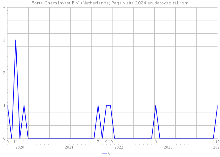 Forte Chem Invest B.V. (Netherlands) Page visits 2024 