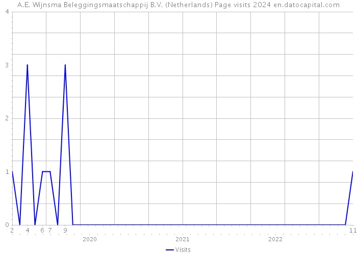 A.E. Wijnsma Beleggingsmaatschappij B.V. (Netherlands) Page visits 2024 
