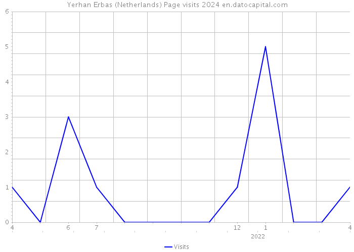 Yerhan Erbas (Netherlands) Page visits 2024 