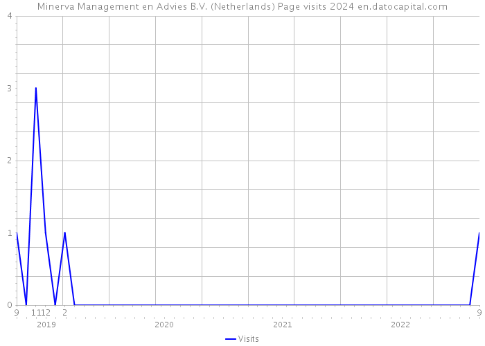 Minerva Management en Advies B.V. (Netherlands) Page visits 2024 