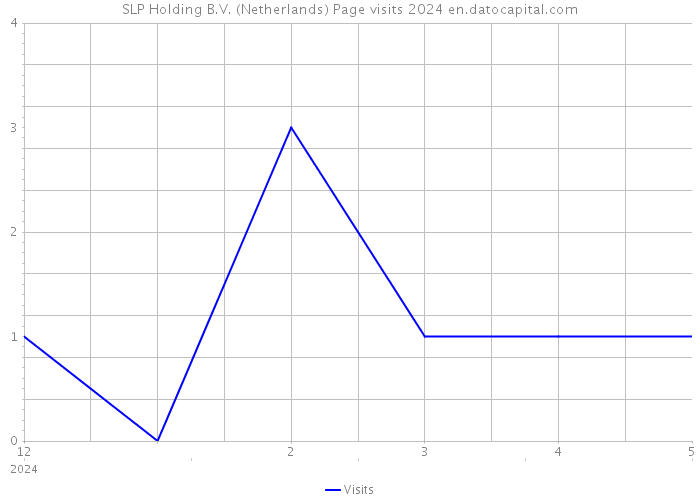 SLP Holding B.V. (Netherlands) Page visits 2024 