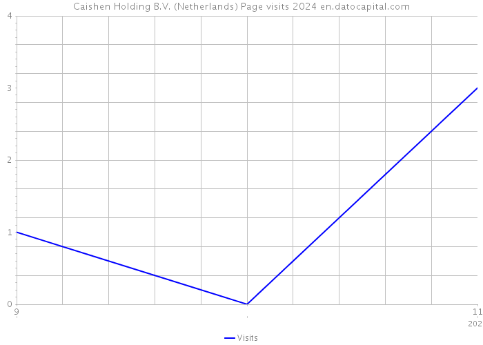 Caishen Holding B.V. (Netherlands) Page visits 2024 