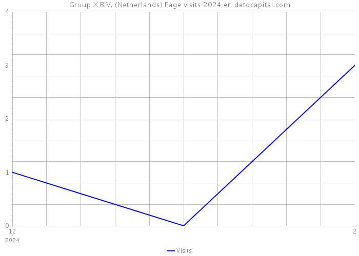 Group X B.V. (Netherlands) Page visits 2024 