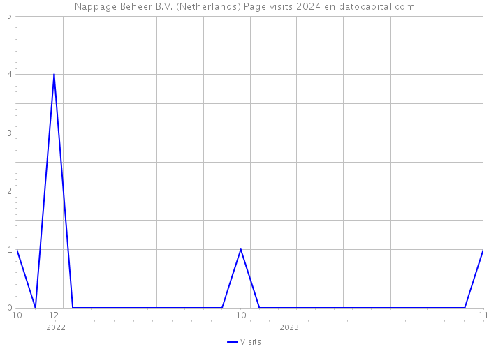 Nappage Beheer B.V. (Netherlands) Page visits 2024 