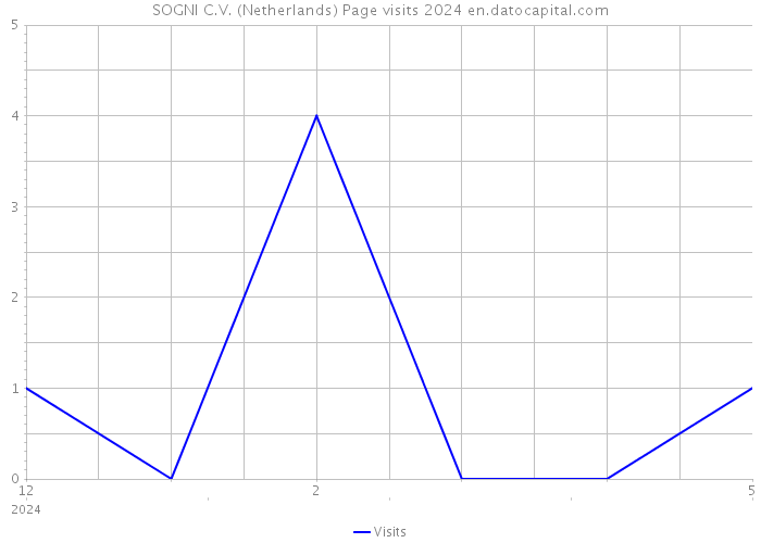 SOGNI C.V. (Netherlands) Page visits 2024 