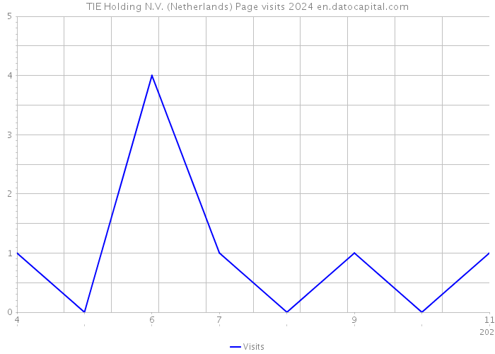 TIE Holding N.V. (Netherlands) Page visits 2024 