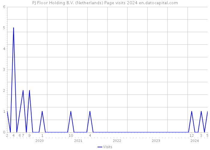 PJ Floor Holding B.V. (Netherlands) Page visits 2024 