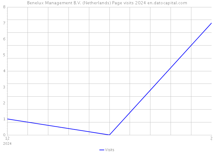 Benelux Management B.V. (Netherlands) Page visits 2024 