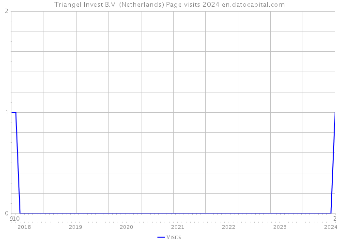 Triangel Invest B.V. (Netherlands) Page visits 2024 