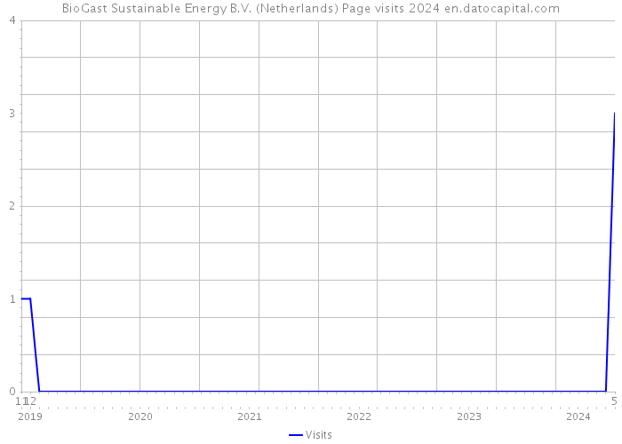 BioGast Sustainable Energy B.V. (Netherlands) Page visits 2024 