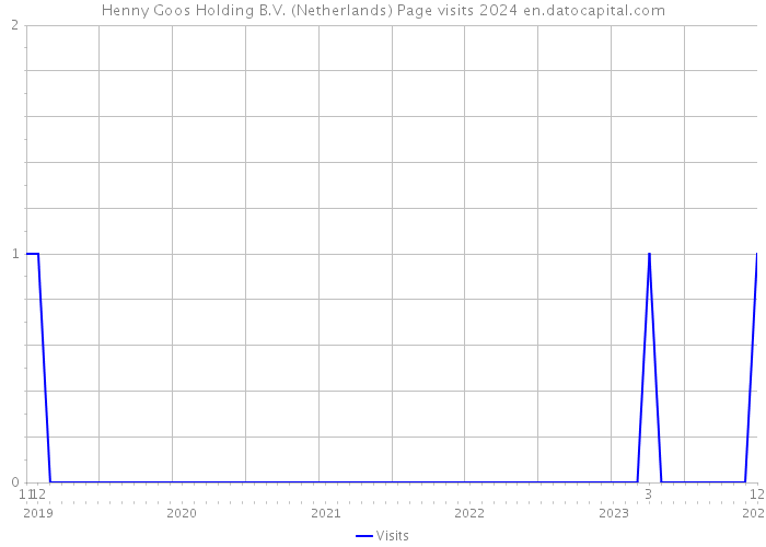 Henny Goos Holding B.V. (Netherlands) Page visits 2024 