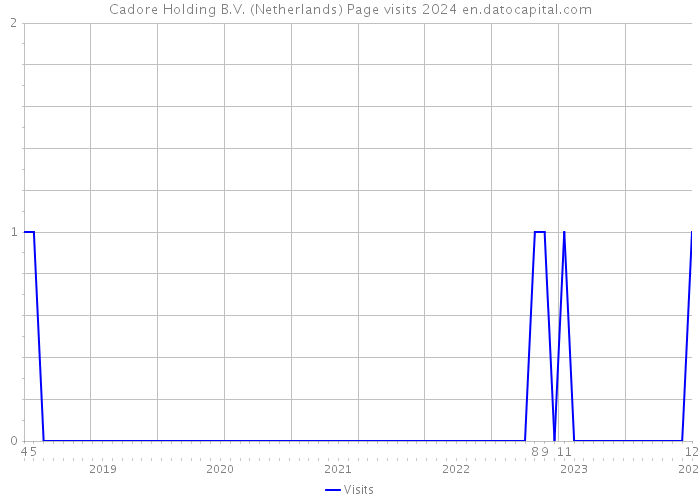 Cadore Holding B.V. (Netherlands) Page visits 2024 