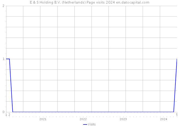 E & S Holding B.V. (Netherlands) Page visits 2024 
