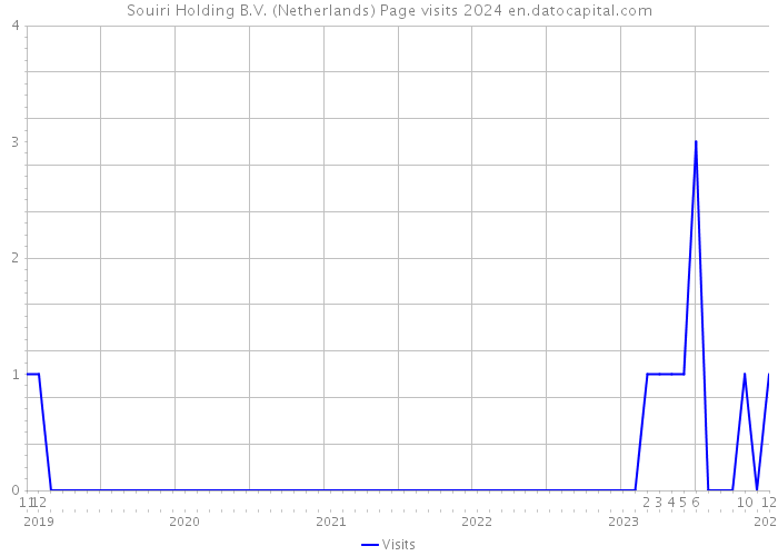 Souiri Holding B.V. (Netherlands) Page visits 2024 