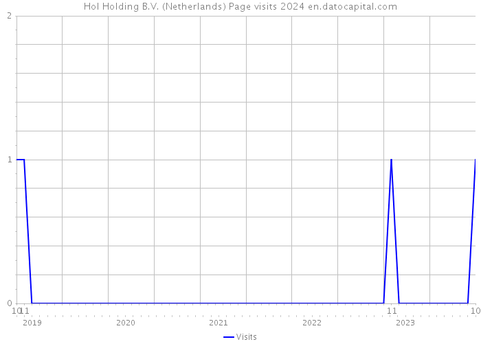 Hol Holding B.V. (Netherlands) Page visits 2024 