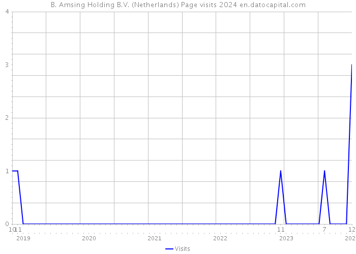 B. Amsing Holding B.V. (Netherlands) Page visits 2024 