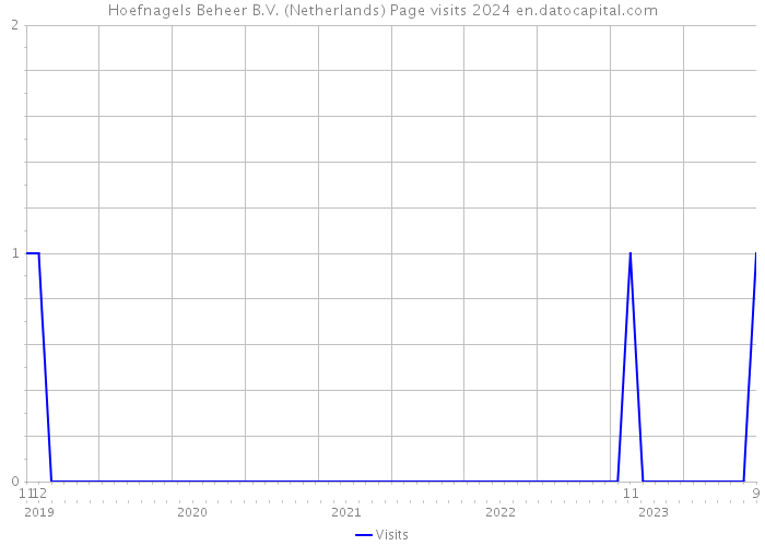 Hoefnagels Beheer B.V. (Netherlands) Page visits 2024 