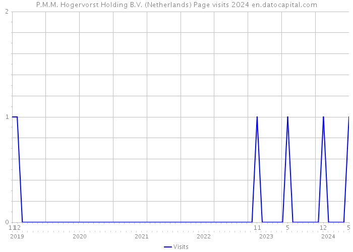 P.M.M. Hogervorst Holding B.V. (Netherlands) Page visits 2024 