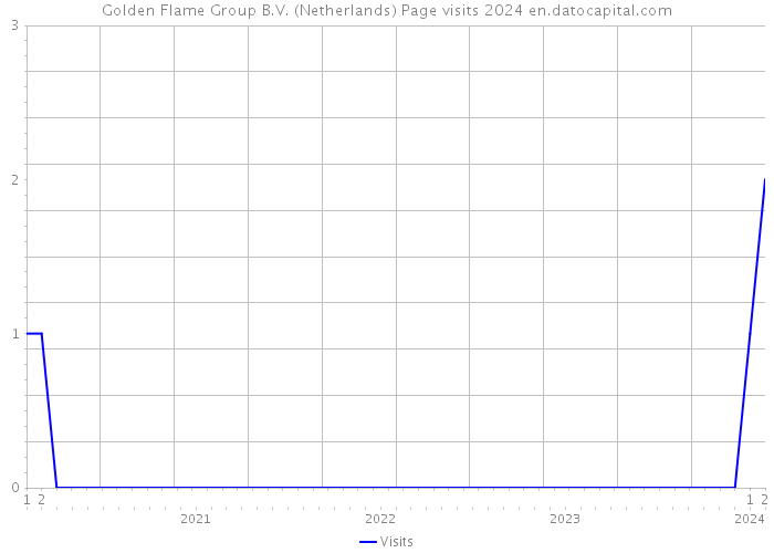 Golden Flame Group B.V. (Netherlands) Page visits 2024 