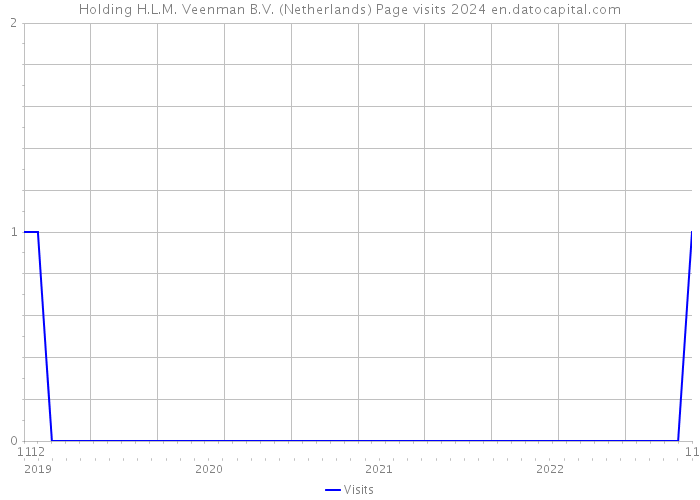 Holding H.L.M. Veenman B.V. (Netherlands) Page visits 2024 