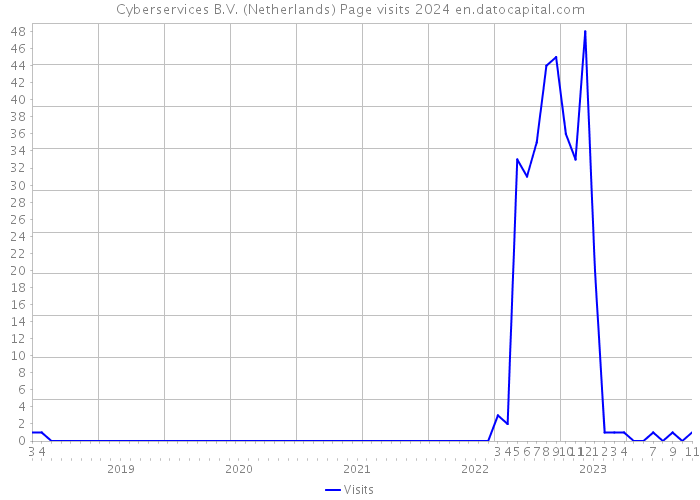 Cyberservices B.V. (Netherlands) Page visits 2024 