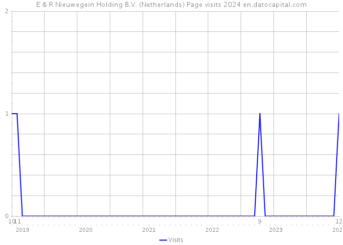 E & R Nieuwegein Holding B.V. (Netherlands) Page visits 2024 