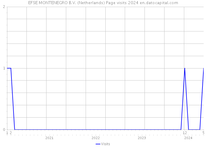 EFSE MONTENEGRO B.V. (Netherlands) Page visits 2024 