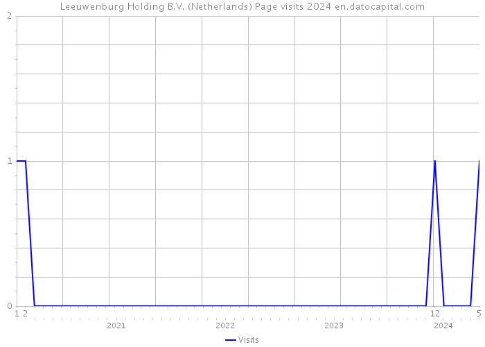Leeuwenburg Holding B.V. (Netherlands) Page visits 2024 