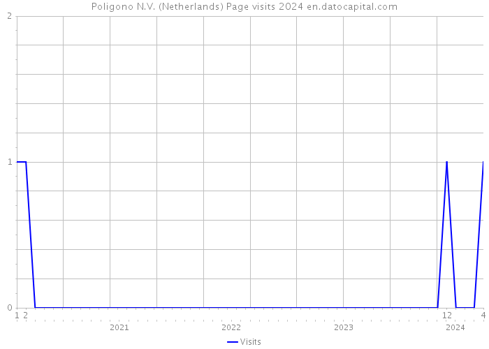 Poligono N.V. (Netherlands) Page visits 2024 