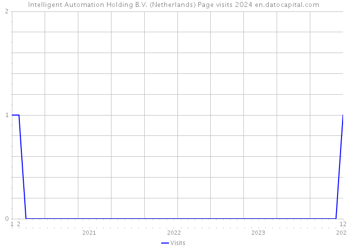 Intelligent Automation Holding B.V. (Netherlands) Page visits 2024 