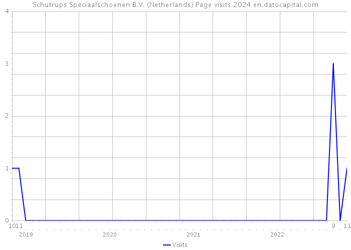 Schutrups Speciaalschoenen B.V. (Netherlands) Page visits 2024 