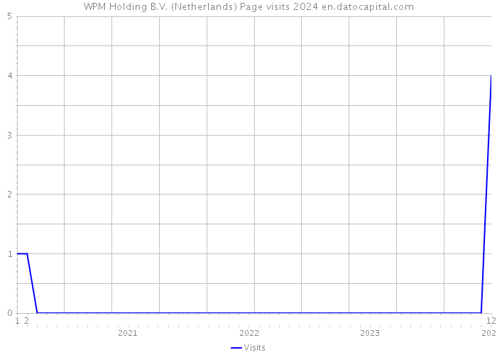 WPM Holding B.V. (Netherlands) Page visits 2024 
