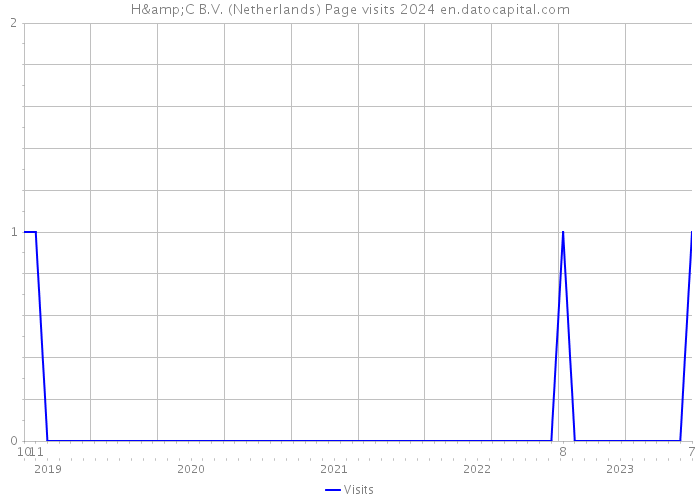 H&C B.V. (Netherlands) Page visits 2024 