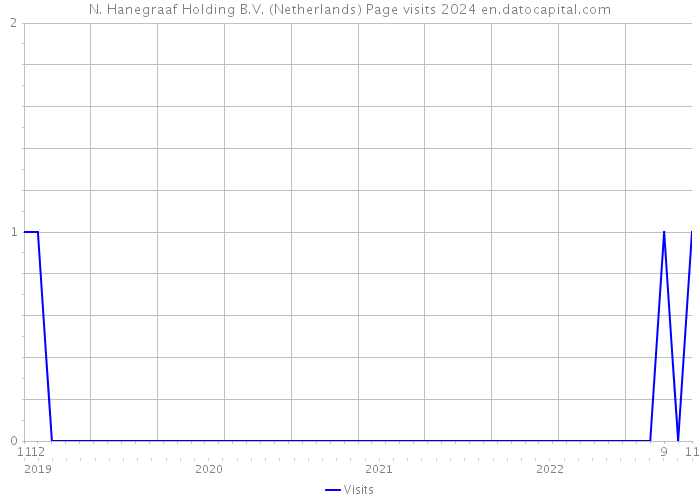 N. Hanegraaf Holding B.V. (Netherlands) Page visits 2024 