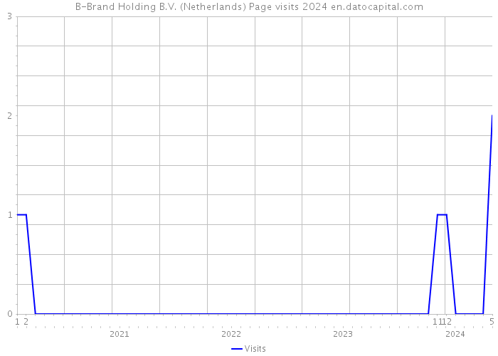 B-Brand Holding B.V. (Netherlands) Page visits 2024 