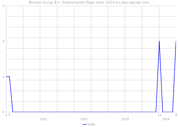 Bonum Group B.V. (Netherlands) Page visits 2024 