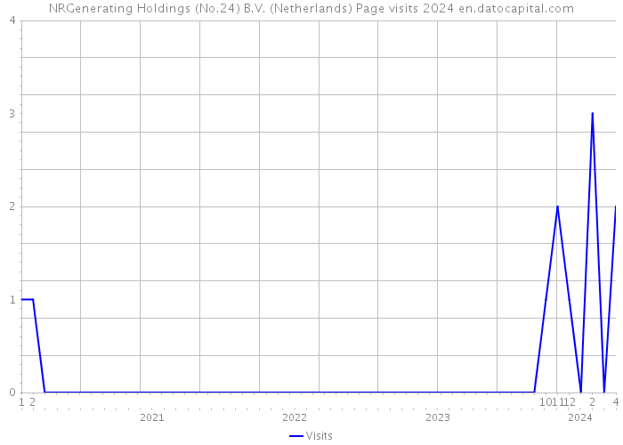 NRGenerating Holdings (No.24) B.V. (Netherlands) Page visits 2024 