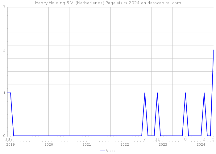 Henry Holding B.V. (Netherlands) Page visits 2024 