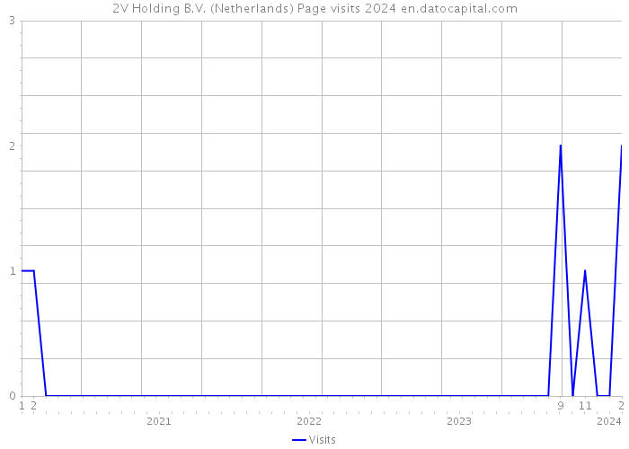 2V Holding B.V. (Netherlands) Page visits 2024 