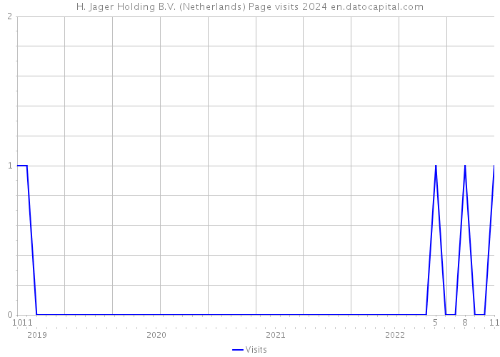 H. Jager Holding B.V. (Netherlands) Page visits 2024 
