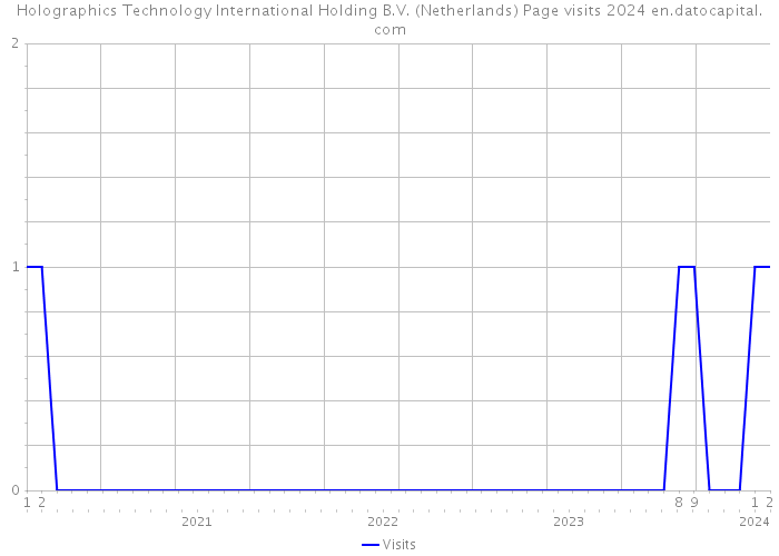 Holographics Technology International Holding B.V. (Netherlands) Page visits 2024 