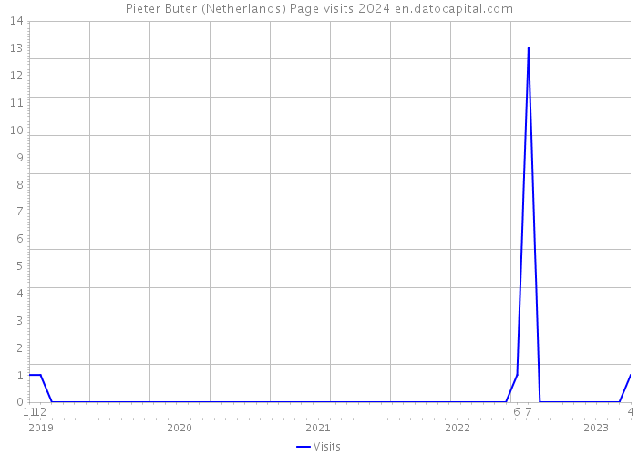 Pieter Buter (Netherlands) Page visits 2024 
